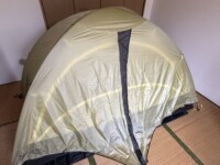 張ってみました